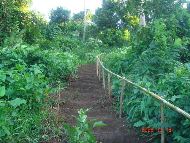 The Last Uphill Climb to Lignon Hill Before The Finish Line
