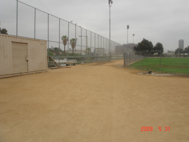 My Running Shoes Gather Dusts While Running