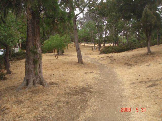 Everything Is Colored "Brown" In The Mountains of South California
