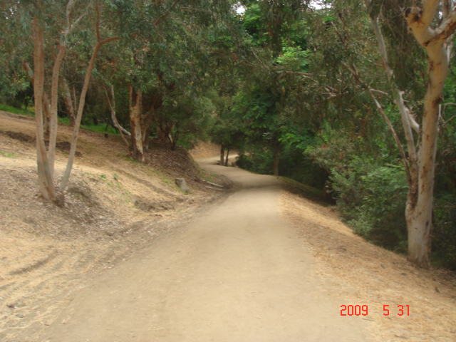 A Fire Road At The Right Side of the Park From Scott Street