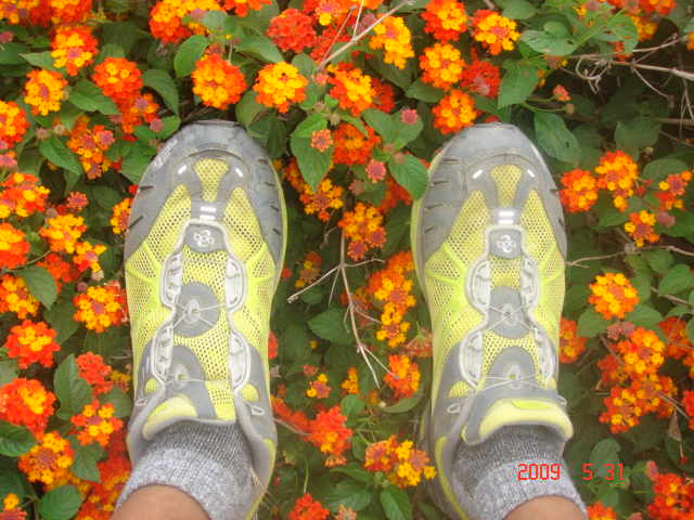 My TNF Arnuva 50 BOA Road/Trail Shoes