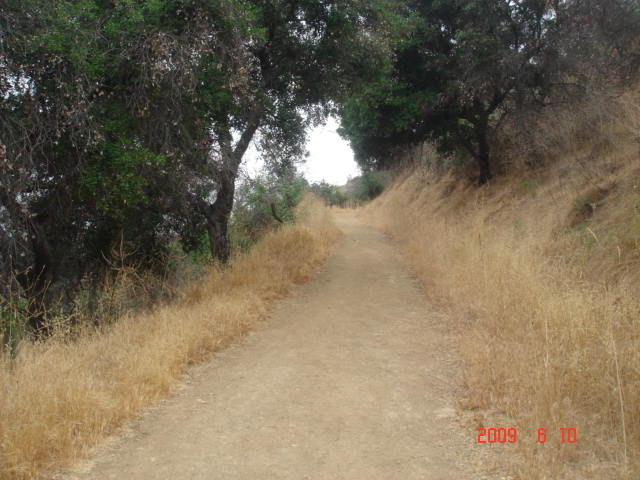 Finally, I Entered This Trail