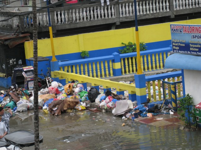 IMG_2458 Trashes Everywhere, Collected Everyday But Still Clogged The Creeks