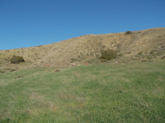 Another Mountain To Peak!