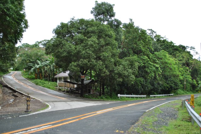 Uphill Road To Kaybiang Tunnel From The Junction