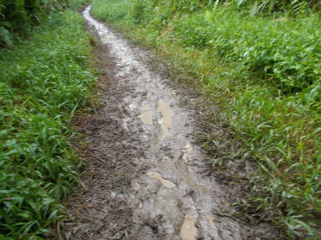 A Part Of The Easier Sections Of The Course