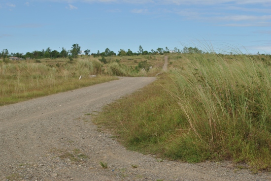 Dirt Road To The Fort Magsaysay-Laur Highway