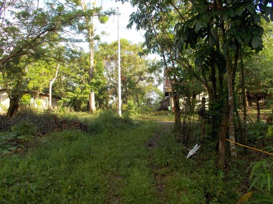 Trail Coming From Taklang Damulag To Dona Josefa-Palale Road