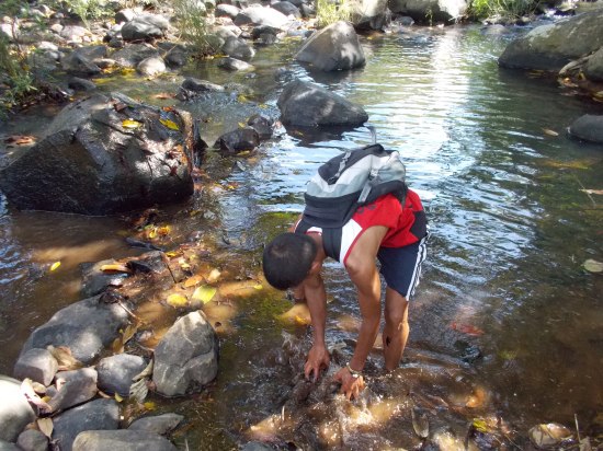 Dannin Removing Dried Twigs & Leaves On Waterways
