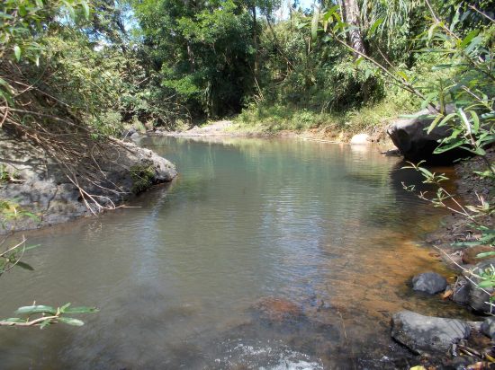 Deeper, Cleaner Water Pool Where Everybody Would Swim Or Dip