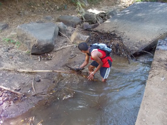 Another Stream To Clean From Debris