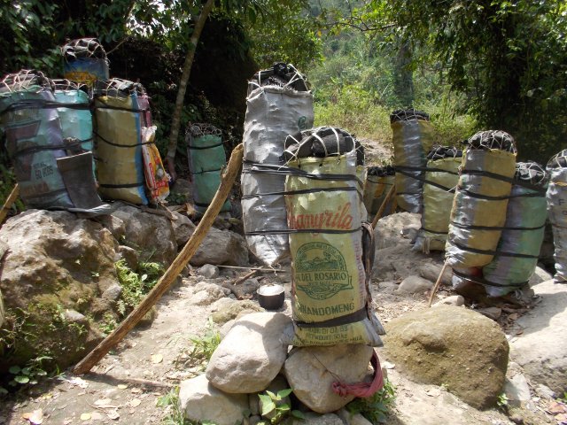 Closer Look On The Sacks Of Charcoal