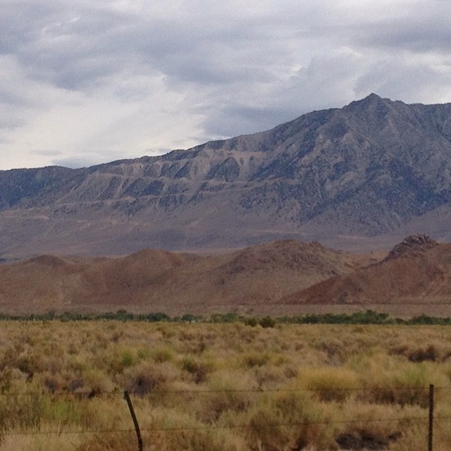The First Peak For The Runners: Horseshoe Meadow At 9,000 Feet Above Sea Level (Photo Courtesy Of Michelle Barton)