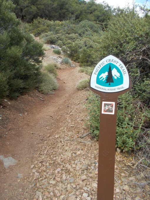 One Of The Trail Markings @ PCT