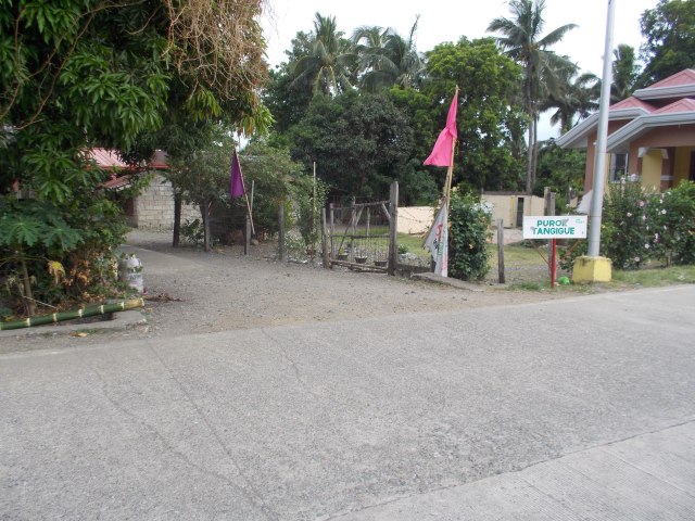 Turn Left On This Alley With The Sign "Purok Tanguige"