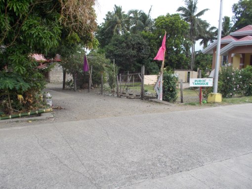 Turn Left On This Alley With The Sign "Purok Tanguige"