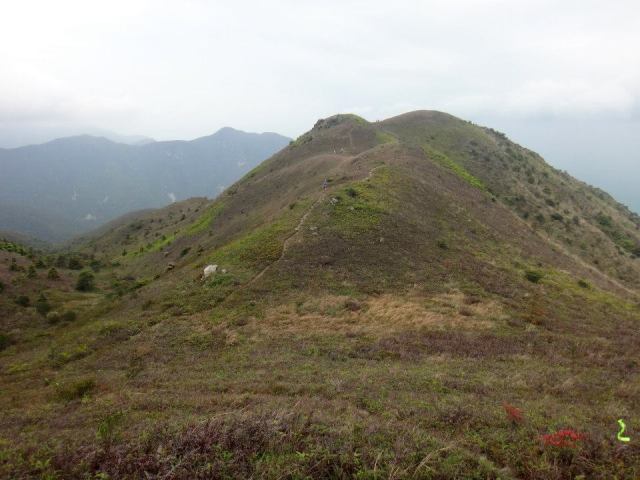 After Reaching The Peak, Another Peak Emerges