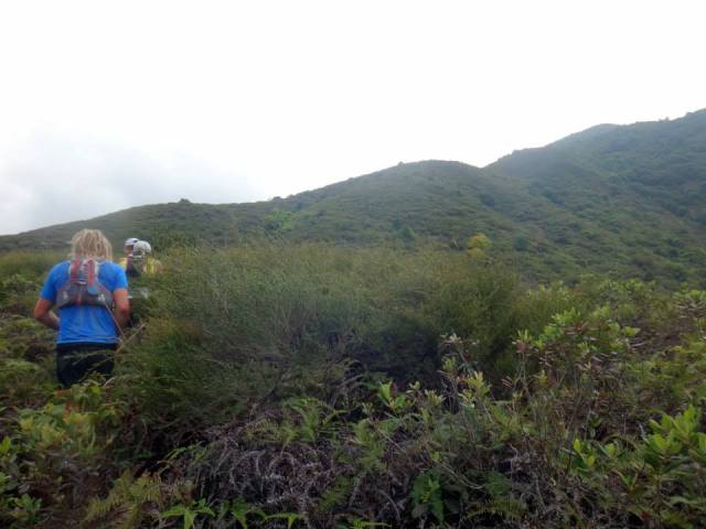 You Are Not Supposed To See The Top Of The Mountain