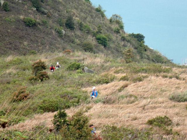 Very Steep & Thickly Vegetated