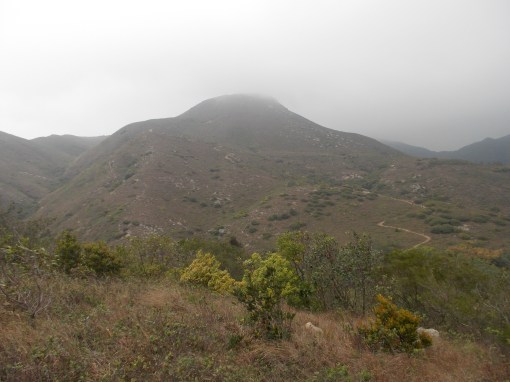 "Easy-Peasy" Push To Sunshine Peak