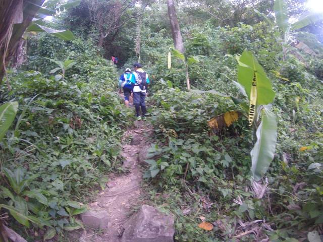 First Mile Of The Race