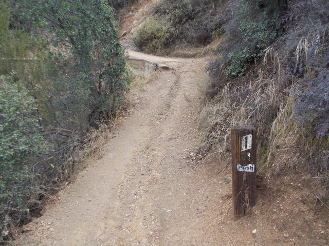 First Week Run @ Lower Sam Merrill Trail