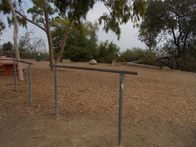 The Water Fountain (Bees Are Not Visible In The Picture)