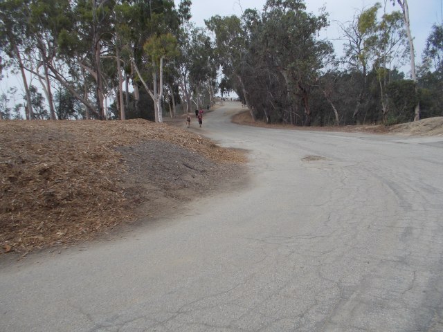 Vista Del Valle Drive