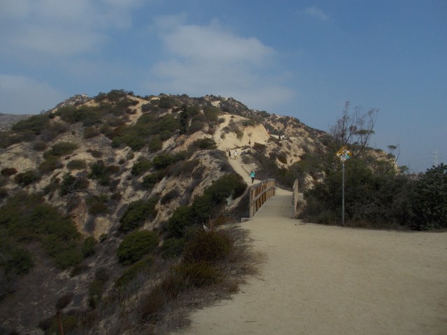 Wooden Bridge & Hogback Trail
