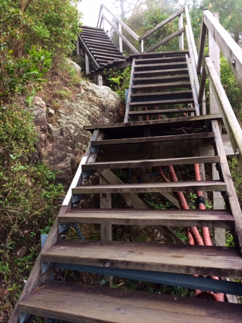Ngong Ping Stairs