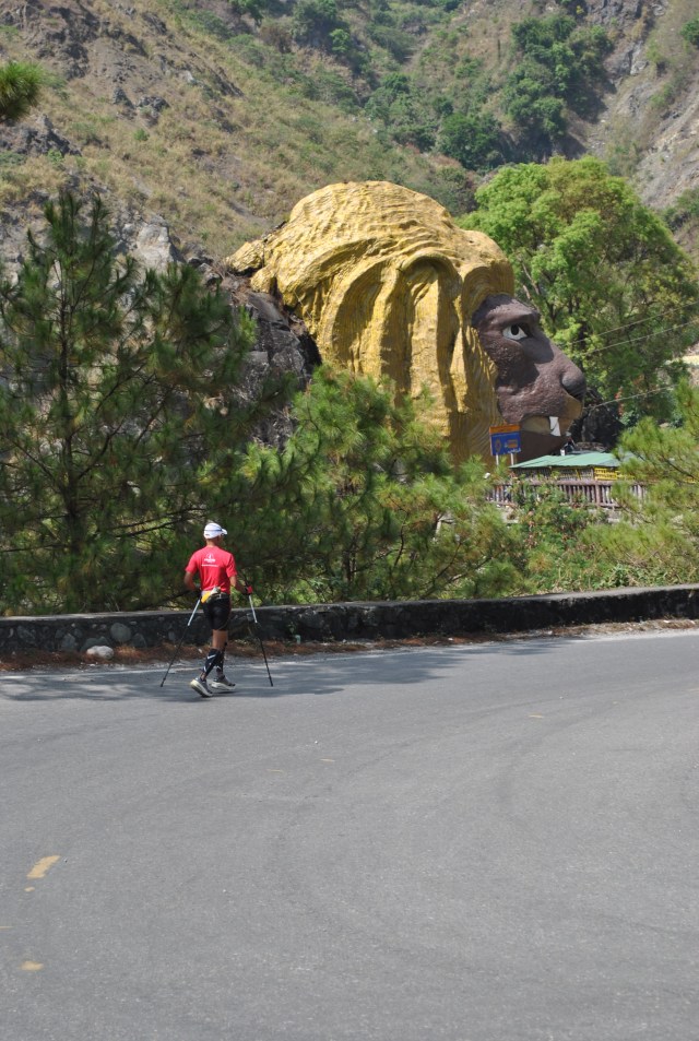 Trekking Poles Adventure Runs