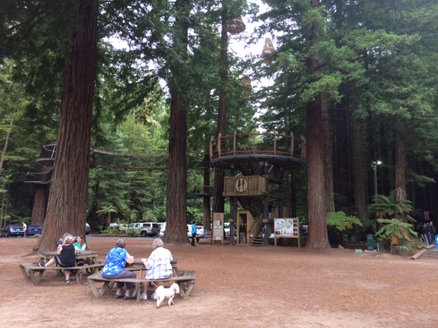 redwoods-visitors-center