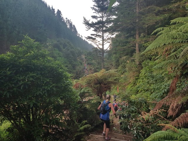 Tarawera After Water Tank