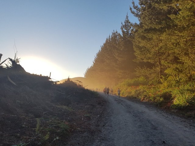 Tarawera Dirt Dusty Road