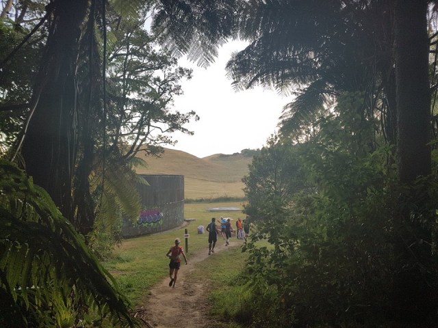 Tarawera Headlight Drop Off